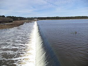 Reed Bingham Dam 5