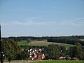 Ringschnait