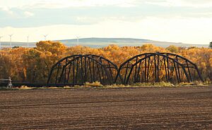 RirieBridgeA