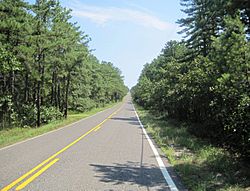Savoy Boulevard through the Pine Barrens in Woodland Township