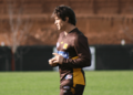 Shane crawford