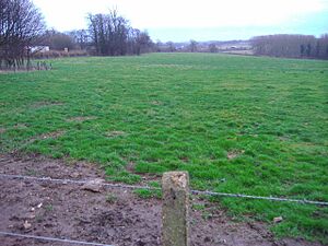 Site Of Bannaventa 22 Jan 2008 (2)