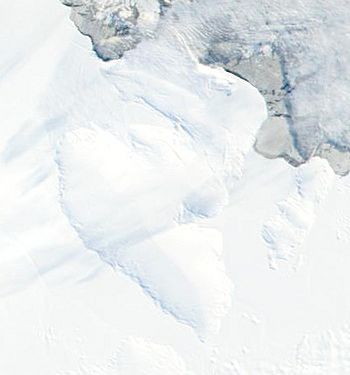 SpaatzIsland Terra MODIS.jpg