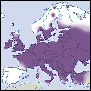 Stagnicola-palustris-map-eur-nm-moll