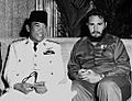 Sukarno and Fidel, 1960