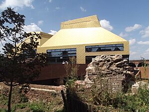 The Hive - University of Worcester - footbridge and The site of the City Wall (19859498694)