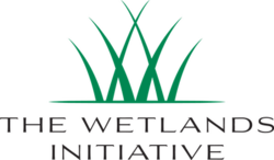 The wetlands initiative logo.png