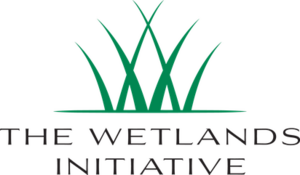 The wetlands initiative logo.png