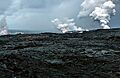 Three Waikupanaha and one Ki lava ocean entries w-edit2