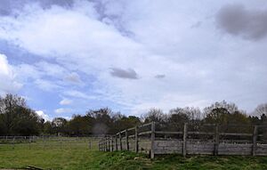 Totteredige Croft Field