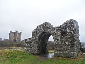 Trim - Sheep Gate and Castle