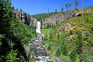 Tumalo Falls (Deschutes County, Oregon scenic images) (desDB3243)