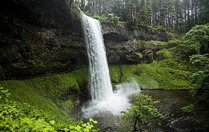 Waterfall near Silverton Oregon (9057137983).jpg