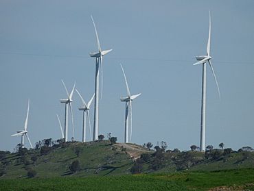 Waterloo windfarm.JPG