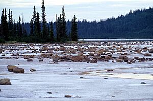Wood-Buffalo-NP Gros Beak Lake 2 98-07-02