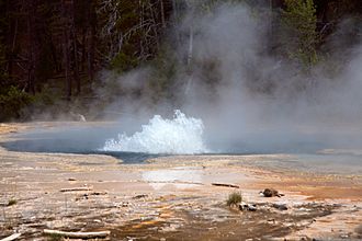 Yellowstone Solitary geyser 02.jpg
