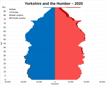 Yorkshire and the Humber population pyramid 2020