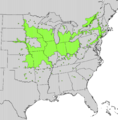 Zanthoxylum americanum range map