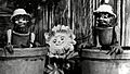 "Flower Pot Men"