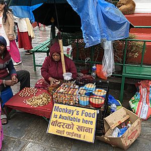 "Monkey's food is Available here" store in Swyambhunath, Bagmati, Nepal