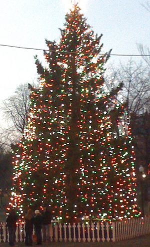 2010 Boston Halifax Christmas tree on Boston Common USA 5273771973.jpg