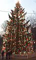 2010 Boston Halifax Christmas tree on Boston Common USA 5273771973