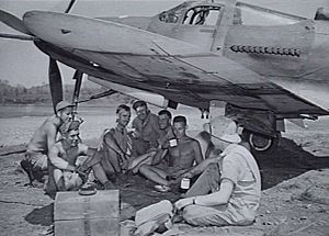 AWM 025894 Bell P-39 Airacobra and US ground crew