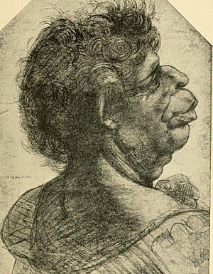 A Grotesque Head, by Leonardo da Vinci