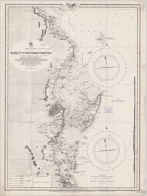 Admiralty Chart No 662 Africa east coast Kilwa Point to Zanzibar Channel, Published 1876