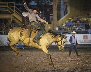 Air Force Space Night at the Rodeo (3602208)