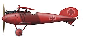 Albatros Manfred von Richthofen neu