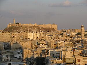 Aleppo and the citadel