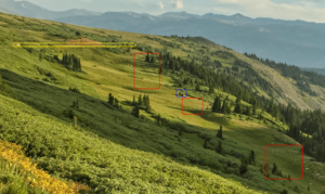 Alpine Tundra Damage on Rollins Pass by a Motorized Vehicle