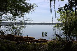 Alternate view of Newnan's Lake (4491631868).jpg