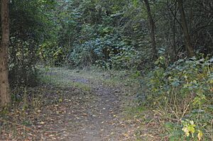 Barnwell East 1