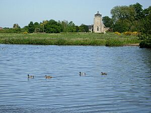 Broad Water, Great Livermere - geograph.org.uk - 181001