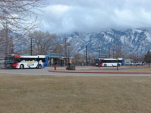 Bus stands at Midvale Center station, Jan 15