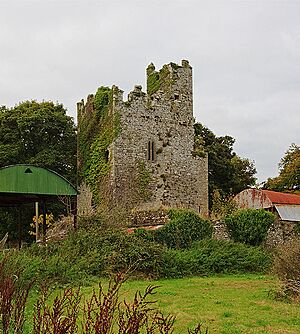 Castles of Munster, Ballingarry, Limerick - geograph.org.uk - 1541594 (cropped)