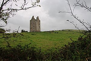 Castles of Munster, Oola, Limerick - geograph.org.uk - 1542112