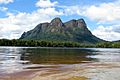 Cerro Wahari-Amazonas