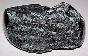 Chalcocite-permineralized fossil wood (Chinle Formation, Upper Triassic; Nacimiento Mine, southeast of Cuba, New Mexico, USA) (16981645718)