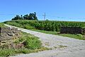 Cottage Grove Farm gates