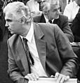 Dragutin Zelenović 1990s