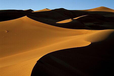 Dunes at sunset along the southern edge of the dune field in Great Sand Dunes National Park. NPS-Debra Miller (18659276586)