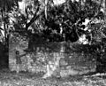 Elderly man at Addison Blockhouse Historic State Park - Ormond Beach, Florida