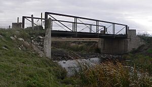 Emanuel Creek 299 St bridge from NE 1