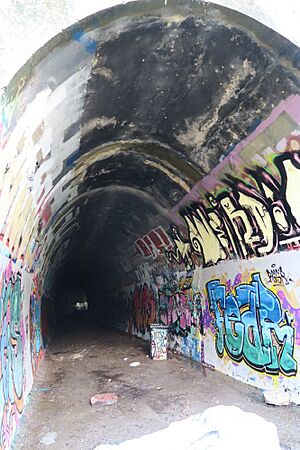 Ernest Junction Railway Tunnel, west entrance, 2019