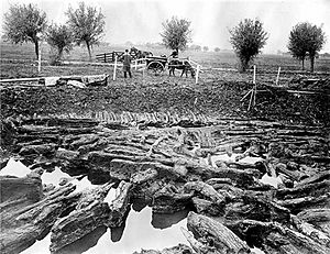 Excavation of Glastonbury Lake Village