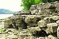 Fossil beds on the Ohio River