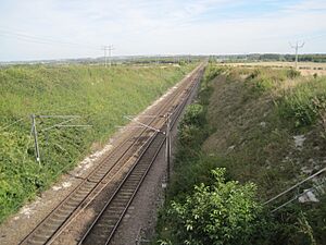 Holland Hall (Melbourn) Railway Cutting 6